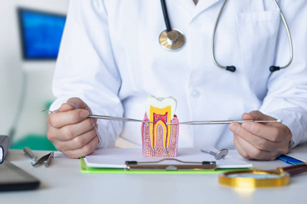 Best Emergency Tooth Extraction in Fairfield Beach, OH